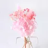 Flores secas Mini aliento de bebé Natural fresco conservado pequeño ramo prensa en seco decoración de fondo de fotografía de boda para el hogar