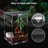 Suprimentos para répteis Acrílico Terrarium Habitat Breeding Box Gaiola mini transparente para répteis com tampa Nano Arboreal Tarantula Enclosure 230628