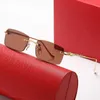 16% de réduction en gros de lunettes de soleil tête de léopard nouveau style unisexe lunettes de soleil polyvalentes boîte de mode lunettes plates