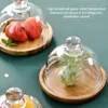 Plates Wooden Base Cake Pan With Glass Dome Mini Stand Display Bell Jar Cover For Dessert Cheese Plants Succulents