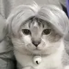 Trajes de gato cabelos falsos cachorrinho gatinho toucado destacável fantasia cabelo para cachorro crossdressing chapéu acessório brinquedo decoração