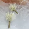 Mini Bouquet de fleurs séchées, décoration de mariage, herbe de Pampa naturelle préservée pour Invitations, fabrication de cartes DIY