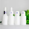 Weiße Porzellan-Glasflaschen, 15 ml, Pipettentropfer, Behälter für ätherische Öle, 05 Unzen, leere E-Flüssigkeitssaftflaschen, 468 Stück/Lot, kostenloser Versand, Lopmc