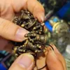 Naszyjniki wiszące 1pcs/partia Tybetańskie narodowe stare przedmioty mini brązowy artefakt buddyzm przyczyny Bell Pestle Brass Precious Jewelry Ward zło