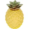 Opslag Flessen Ananas Thee Caddy Box Organizer Snoep Potten Deksels Keramische Afdichting Bussen Draagbare Set Dozen Gedroogde Houder