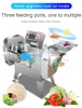 110V/220V Double Head Vegetable Cutting Machine Stainless Steel Automatic Vegetable Cutter