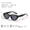 Sunglasses Vintage Cat Eye Women For Men Fashion Designer Sun Glasses Trend Punk Sexy Lady Rivet Purple Pink Shades