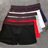 Underpants Designer S Boxers varumärken Underbyxor UCCI för män Sexig klassisk man Boxer Casual Shorts underkläder mjuk andningsbar bomull underkläder 3 st med låda R0CV#