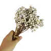 Fleurs séchées 20 pièces boules de coton naturel plantes vrais fruits blancs bouquet de mariage fête de mariage décoratif maison salon décor