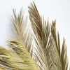 Dried Flowers 1pc Dry Palm Fan Leaves Sago Cycas Branch Natural Fruticose Dracaena Party Art Wall Hanging Wedding Decoration