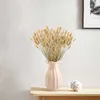 Suszone kwiaty PCS Dekorowanie traw 40 cm naturalny królik lagurus ovatus bukiety domowe aranżacje ślubne