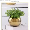 Vasi Vasi Stile nordico Highgrade Golden Phalaenopsis Flowerpot Money Grass Carnoso Arredamento per la casa Vaso di fiori l230425 Z230630