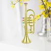 Baby Music Sound Toys Infant Boy Toys Trumpet Kids Imitation Educational Toddlers Fake Musical Instrument Props Model 230629
