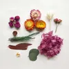 Flores secas 1 caixa de velas de aromaterapia, plantas misturadas, jóias reais, artesanato, acessórios diy, colar com pingente