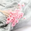Dried Flowers 30/Pcs Decorative Mini Daisy Small Star Bouquet Natural Plant Preserve Floral for Wedding Home Decoration
