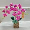 Blocchi Fiore Orchidea Bouquet in vaso Building Block Modello Pianta Decorazione domestica Romantico San Valentino Per ragazza Giocattolo Regalo R230629