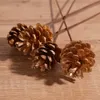 Torkade blommor 4st naturliga växter mini tallkon nötter ekollon frukt för diy hem bröllop arrangemang dekoration julgran dekor