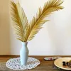 Dried Flowers 1pc Dry Palm Fan Leaves Sago Cycas Branch Natural Fruticose Dracaena Party Art Wall Hanging Wedding Decoration