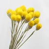 Gedroogde bloemen 15 STKS Kleurrijke Edelsteen Grasboeketten Natuurlijke Plant DIY Kunstbloem Home Decor Photp rekwisieten Feestartikelen