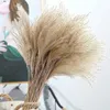 Flores secas, 15 Uds., oreja de trigo Natural, hierba de conejito, accesorios de decoración para boda, decoración pequeña para el hogar