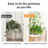 10PCS Plant Climbing Wall Fixture Invisible Wall Rattan Clamp Clip Wall Vines Fixture Wall Sticky Hook Holder Flower Hanger