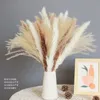 Dried Flowers Natural Grass Bouquet Decor Long-Lasting for Home and Wedding Arrangement Decoratio