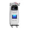 Professionele 10 In 1 Hydro Dermabrasie Huid Diepe Reiniging Machine Zwarte Kop Verwijderen Acne Behandeling Rf Huidverstrakking Machine