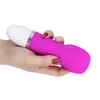 Poisonous Small Diamond Wind Frequency Vibration Massage de stimulation de l'appareil pour femmes Vibromasseur AV