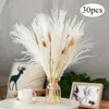 Fleurs séchées lapin herbe sèche arrangement de mariage décor naturel roseau Phragmites bouquet Communis Pampa décoration de la maison