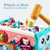 Jouets sonores de musique pour bébé 9 en 1 Jouets Montessori pour bébé Jeux de pêche magnétique Cube d'activité hibou Ensemble de piano musical Motricité fine pour les tout-petits de 0 à 12 mois 230629