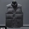 Mäns varmare gilet designer västjacka gås lyx ner kvinna väst fjäderfylld material kappa grafit grå svart och vit blå pop par kappa s m l xl xxl