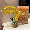 Blocchi Fiore Orchidea Bouquet in vaso Building Block Modello Pianta Decorazione domestica Romantico San Valentino Per ragazza Giocattolo Regalo R230629