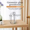 Vasos House Greenhouse Hexagonal Glass Vas