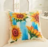 Fashion Square Soft Plush Pillow Case Candy Color Pillow Case Cillow Cover Double Car Cushion Cover Home Soffa Decoration