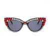 Sunglasses Designer Cat Eye Diamond Women Trendy Sun Glasses Fashion Vintage Eyeglasses Big Frame Sexy Shades UV400