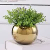 Vasi Vasi Stile nordico Highgrade Golden Phalaenopsis Flowerpot Money Grass Carnoso Arredamento per la casa Vaso di fiori l230425 Z230630