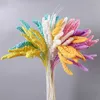 Gedroogde Bloemen 10 STKS Echte Plant Bloem Graan Tarwe Oren Natuurlijke Boeket Bruiloft Huwelijk Decoratie DIY Materiaal Thuis Room Decor