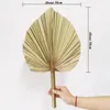 Party Decoration 4pcs Natural Dried Palm Leaves Tropical Bohemian Spears Window Art Wall Hanging Birthday Wedding
