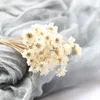 Dried Flowers 30/Pcs Decorative Mini Daisy Small Star Bouquet Natural Plant Preserve Floral for Wedding Home Decoration
