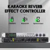 Mixer Professional Fx8 Digital Karaoke Stage Preamplifier Audio Reverb Vocal Effector Dj Mixer Processing Controller Antiwhistling