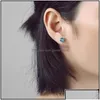 Stud Luxury Birthday Stones Cz Earrings For Women Cubic Zirconia 12 Month Birthstone 925 Sterling Sier Earring Fashion Jewelry Gift Dhoki