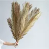 Dried Flowers 1pc Dry Palm Fan Leaves Sago Cycas Branch Natural Fruticose Dracaena Party Art Wall Hanging Wedding Decoration