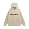 Ess Hoodie Designer Hommes FW23 Noir Gris Rose Femmes Sweat À Capuche Hiver Chaud Comme Des Garcons Pull Sweats Lâche À Capuche Vêtements