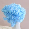 Dried Flowers 1pc 20cm Nature Fresh Preserved Anna Hydrangea Whole Branch Flower Photograph Wedding Home Garden Party Decoration