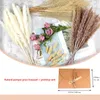 말린 꽃 45pcs 잔디 및 인사말 카드 세트 천연 푹신한 lagurus bouquet 파티 홈 장식 꽃