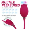 Ye Lianhua Rose Aspirateur Oeuf Saut Aspiration Vibration Massage Vagination Produits Féminins 75% de réduction sur les ventes en ligne