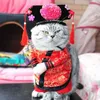 Divertente principessa cinese vestiti cosplay gatti costume di Halloween per cani vestito di Natale vestiti per gatti vestito per cani Pet Apparel229S