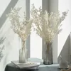 装飾的な花20/40g天然のラスカスの葉保存されたユーカリドライフラワーホワイトグラスブーキーホームリビングルームの装飾結婚式