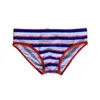 Męskie spodenki WK44 Summer Beach Blue Stripe Seksowne niska talia Basen strojów kąpielowych Sport Swimming Bikini Surf Swimsuits