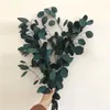 110g lot Natural Preserved Eucalyptus Leaves Bouquet Eternal Dried Flower for Wedding Home Decoration accessories Display Flower 2880